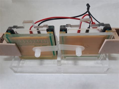 바이오탭스 (biotaps)