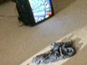 Gillian Davison Nude Aznude