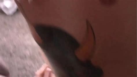 Latino Gay Videos XVIDEOS