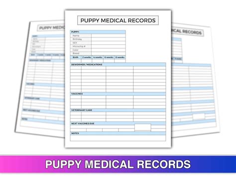 Puppy Medical Records Canva Template Us Letter Size Printable Pdf