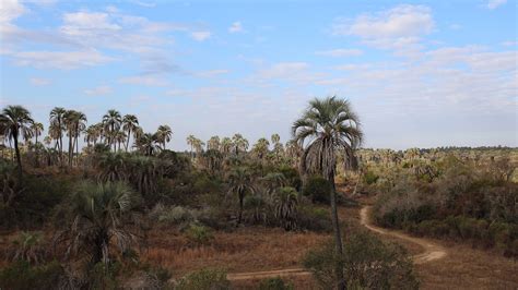 15 Fotos De Las Bellezas De La Región Del Litoral Argentino No Tan