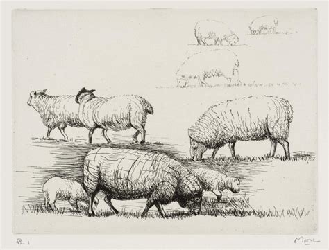 Henry Moore Om Ch Sheep In Field 1974 Artist Journal Artist