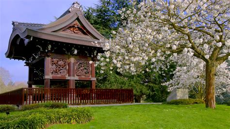 Japanese Landscape | Kew