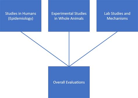 Evaluating Environmental Exposures | EMF and your Health