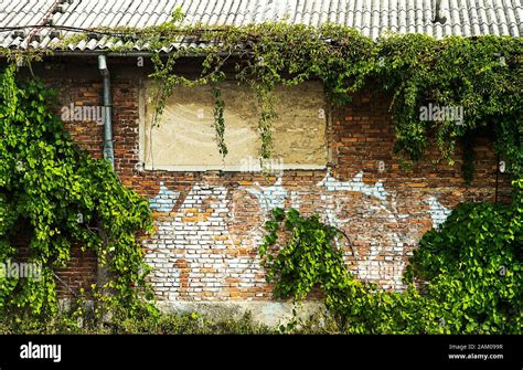 Abandoned Building Covered With Plants And Vegetation Stock Photo Alamy