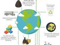 Ideas De Infografia Medio Ambiente Infografia Medio Ambiente