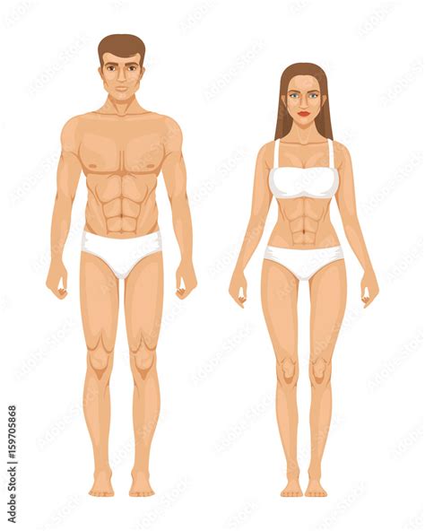 Model of sporty man and woman standing front view. Different body parts ...