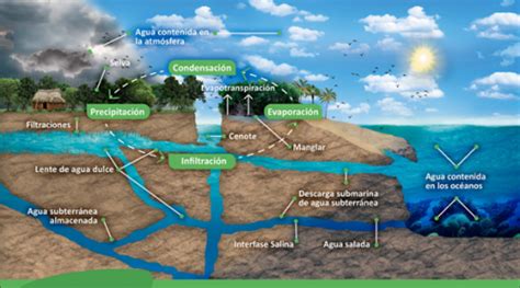 Todo está conectado aguas subterráneas y superficiales Agua org mx