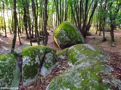 Etang du bois pouvreau Natuur MÃnigoute Deux SÃvres Poitou