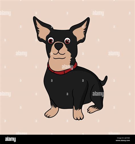 Schwarze Chihuahua Stock Vektorgrafiken Kaufen Alamy