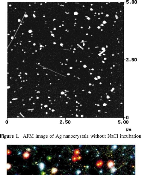 Figure 1 From Surface Enhanced Raman Spectroscopy Of Individual Rhodamine 6g Molecules On Large