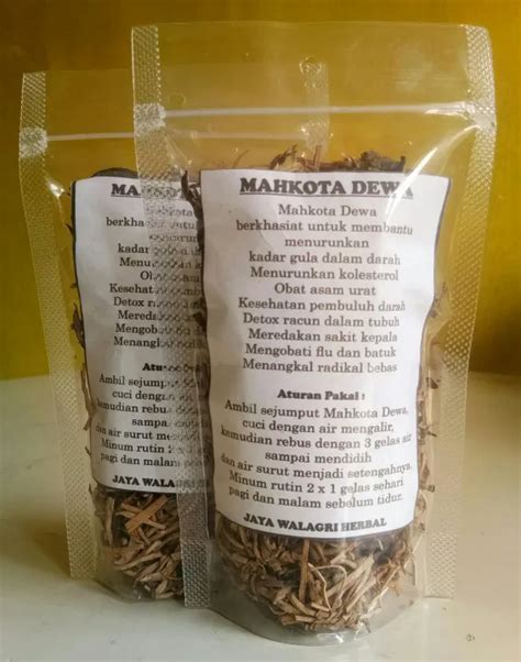 Mahkota Dewa Kering 50gr Herbal Lazada Indonesia