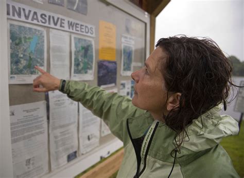 A growing battle: Invasive weeds choke local ponds