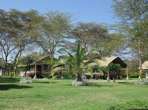 Lake Naivasha Crescent Camp Evacay Africa