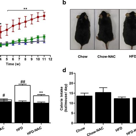 NAC Treatment Protects Mice From HFD Induced Obesity Eight Week Old