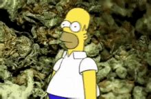 Homer Simpson Bushes GIFs | Tenor