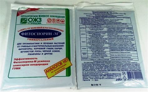 Лучшие средства от фитофторы на помидорах: самые эффективные, как ...