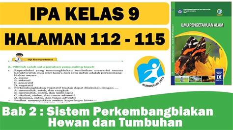 Kunci Jawaban IPA Kelas 9 Halaman 114 115 Bagaimana Cara