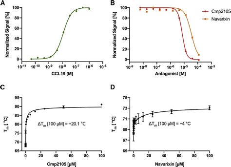 Cellular Arrestin Recruitment Assay And Dose Response Thermofluor Assay