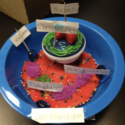 Tips For Teaching Cell Organelles Science Lessons That Rock