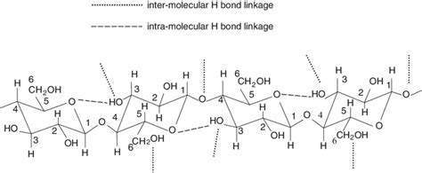 Cellulose Molecule Structure