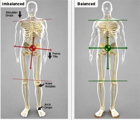 9 Best Hip Alignment Exercises You Can Do At Home (Video)