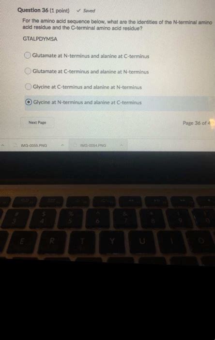 Solved Question 36 1 Point Saved For The Amino Acid