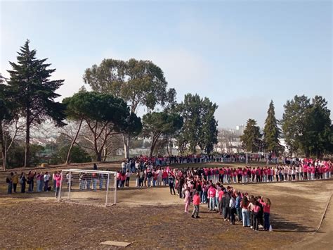 Agrupamento De Escolas Andr De Gouveia Assinalou Dia Mundial Da Luta