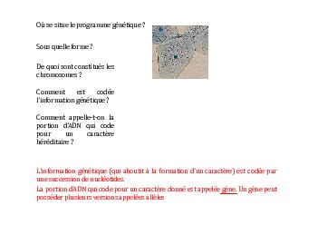 Chapitre Reproduction Conforme De La Cellule Et R Plication D Adn