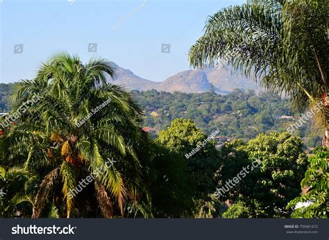 281 Blantyre Malawi Royalty-Free Images, Stock Photos & Pictures | Shutterstock