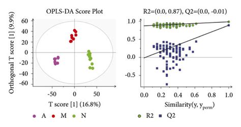 The OPLS DA Score Plots And PLS DAs 100 Times Permutation Tests A