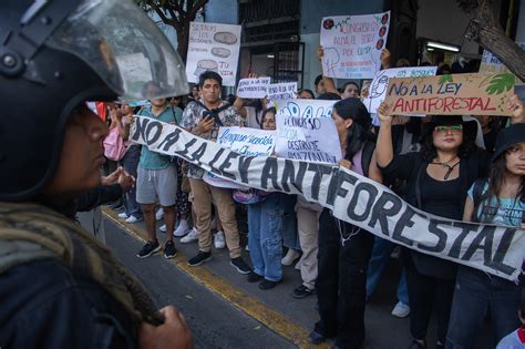 Perú Donde Una Ley Legaliza Deforestación De La Amazonía Punto Seguido Upc