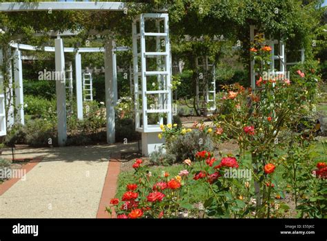 Senate Rose Gardens, Old Parliament House, Canberra, ACT, Australia ...