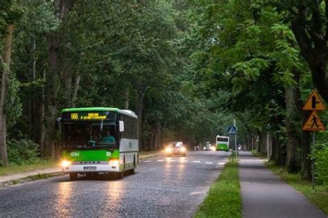 PKS Gdynia uruchamia nowe połączenia nad morze Do tych miejscowości