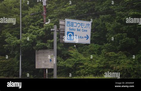 Saiko Bat Cave Road Sign At Aokigahara Jukai Forest Kawaguchiko Japan