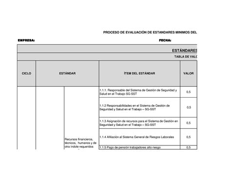 Evaluación De Estandares Minimos Sg Sst Julio 2021 11 Responsable Del Sistema De Gestión De