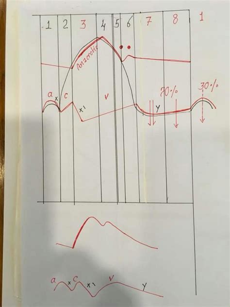 Solution Cvs Part Dr Nagi Diagrams Studypool