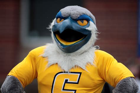 University Of Chattanooga's Mockingbird Mascot Is Absolutely Massive