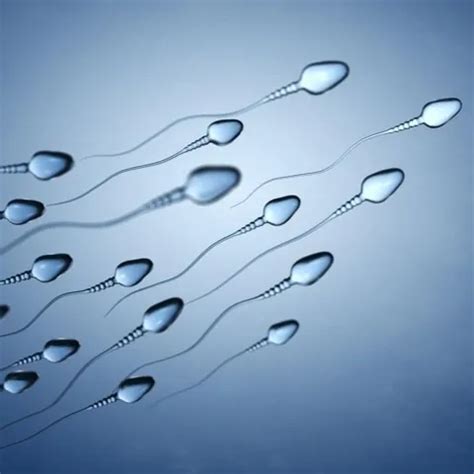 Sunny Blue Anal Dreier Mit Zungenanal XHamster