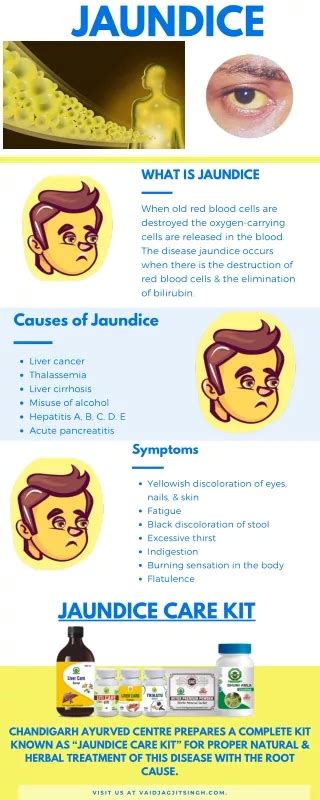 PPT Jaundice Causes Types And Clinical Considerations PowerPoint