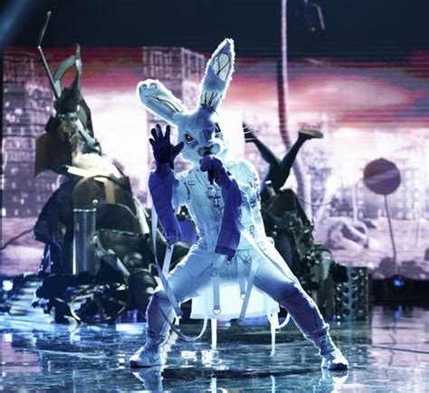 Donnie Wahlberg Is the Rabbit on 'The Masked Singer'—Here's Why