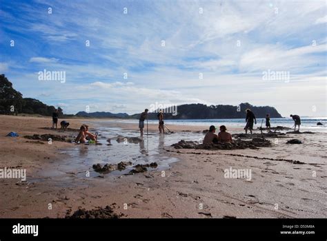 Hot Water Beach Coromandel Peninsula New Zealand Stock Photo Alamy