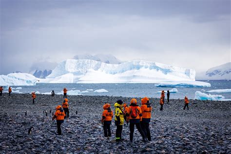 Voyage en Antarctique prix Budget et tarifs pour découvrir le