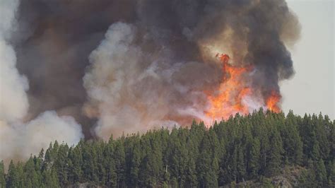 Incendio En Tenerife La Propagación De Las Llamas A Vista De Pájaro