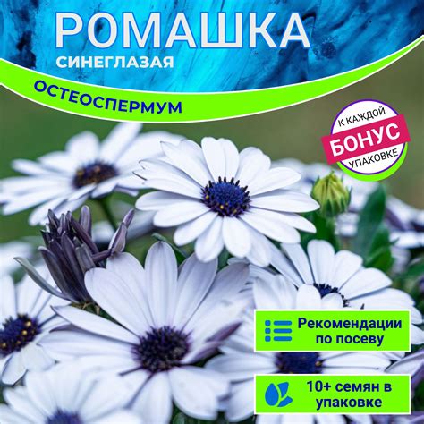 Семена маттиолы купить на OZON по низкой цене