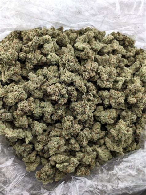 Pure Kush Strain Malibu Pure Kush Strain Pure Kush