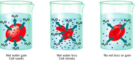 isotonic esve alveo 第2页 大山谷图库