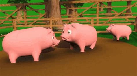 pigs cute gif pigs cute playing discover share gifs
