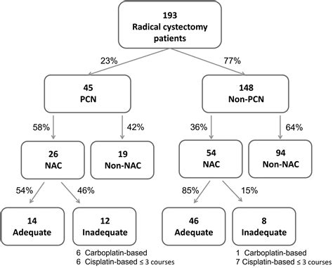 Assessing The Impact Of Percutaneous Nephrostomy Presence On