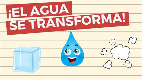 💧los Estados Del Agua 💦 🔴 Solido Liquido Y Gaseoso Explicación